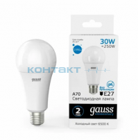 Лампа Gauss LED Elementary А67 30W E27, 6500k