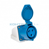 Розетка нар. уст.16А 2Р+Е 220В IP44 (113)