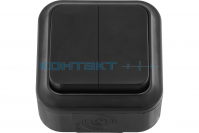 Выключатель 2кл. чёрный IP54, АКВА Bylectrica